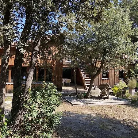 Bois Dans Quartier Calme - 4792 Chalet