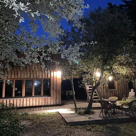 Bois Dans Quartier Calme - 4792